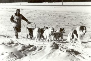 dog sled